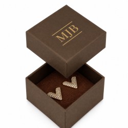 Caja SAV2 cerrada, con el logotipo dorado personalizable en la tapa