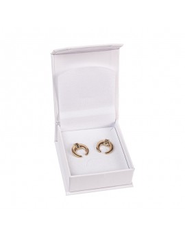 Estuche para pendientes de joyeria