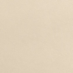 Ohrring-Display 48x28x90 mm | MyJewelBoxes
